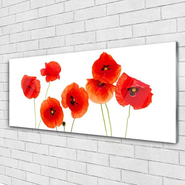 Tablou pe sticla Maci Floral Rosu Negru