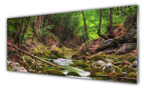 Panou sticla bucatarie Natural Pădurea Verde Maro