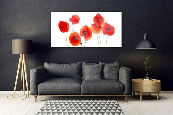 Tablou pe sticla Maci Floral Rosu Negru