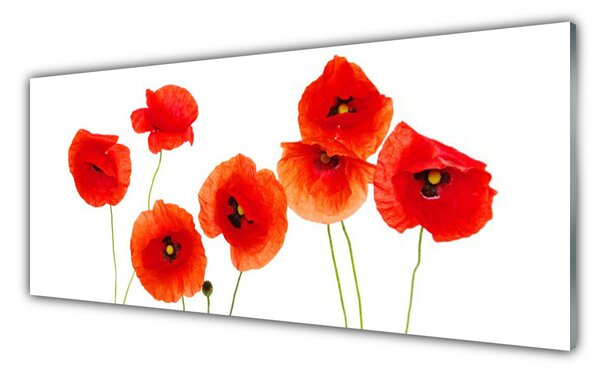 Panou sticla bucatarie Maci Floral Rosu Negru