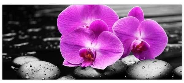 Tablou - Orhidee violet (120x50 cm)