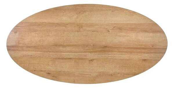 Masuta cafea CAROLINA, stejar auriu/negru, 120x60x41 cm