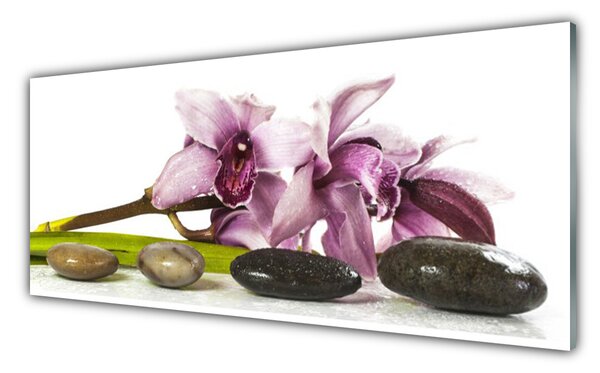 Tablou pe sticla Pietrele florale flori roz Gri Negru