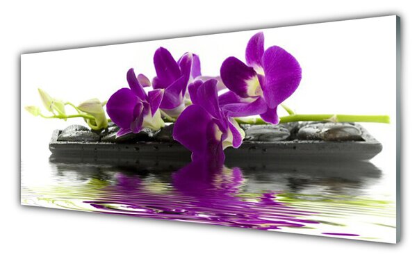 Tablou pe sticla Flori roz Floral