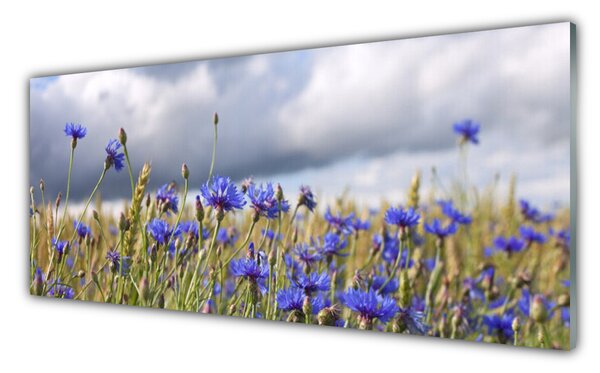 Tablou pe sticla Flori Floral Verde Violet