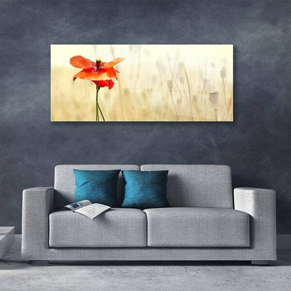 Tablou pe sticla Poppy Floral Roșu Verde