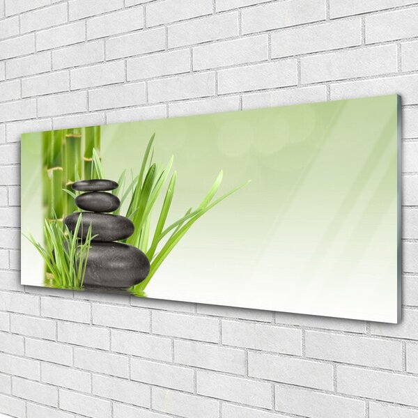 Tablou pe sticla Bamboo Ierburile Floral Verde Negru