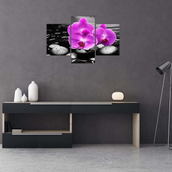Tablou - Orhidee violet (90x60 cm)