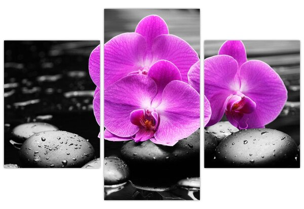Tablou - Orhidee violet (90x60 cm)