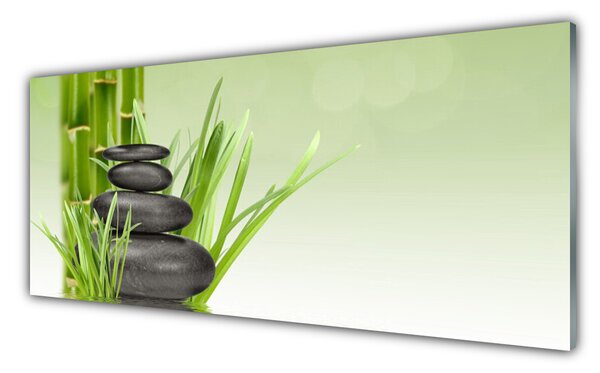 Tablou pe sticla Bamboo Ierburile Floral Verde Negru