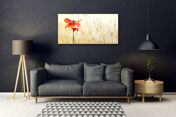 Tablou pe sticla Poppy Floral Roșu Verde