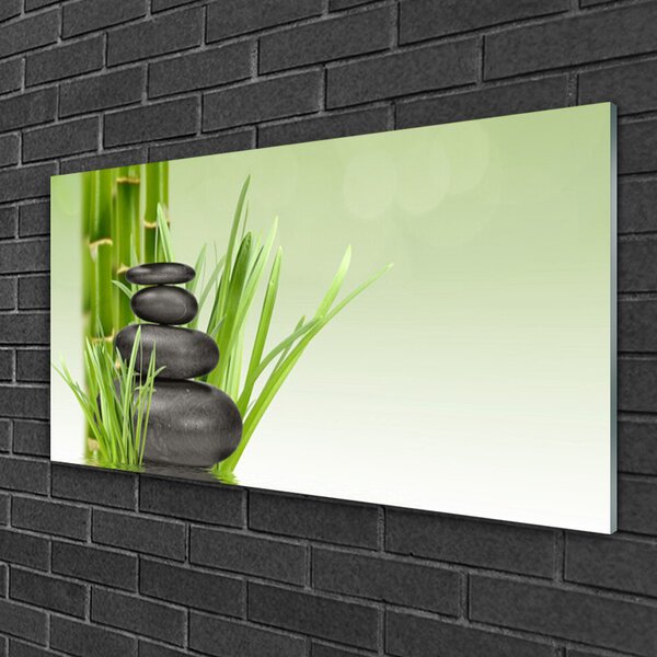 Tablou pe sticla Bamboo Ierburile Floral Verde Negru