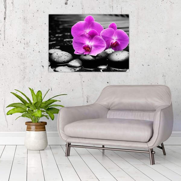 Tablou - Orhidee violet (70x50 cm)