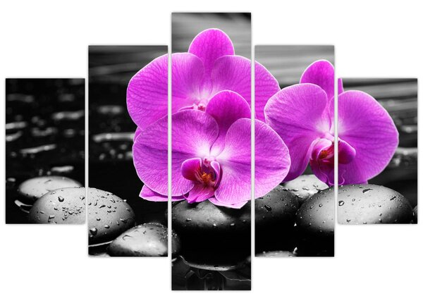 Tablou - Orhidee violet (150x105 cm)