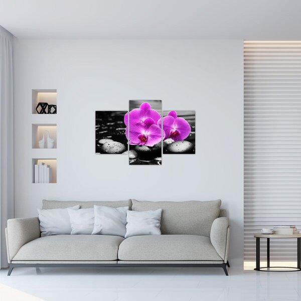 Tablou - Orhidee violet (90x60 cm)