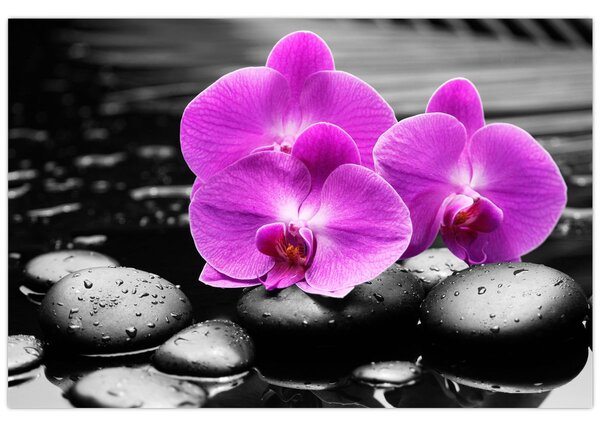 Tablou - Orhidee violet (90x60 cm)