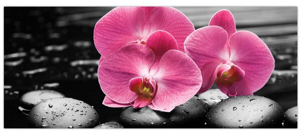 Tablou - Orhidee roz (120x50 cm)