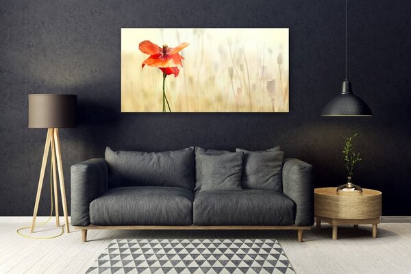 Tablou pe sticla Poppy Floral Roșu Verde
