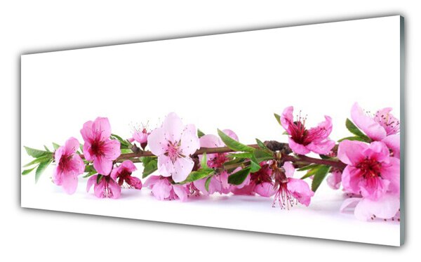 Tablou pe sticla Flori Floral Roz Verde