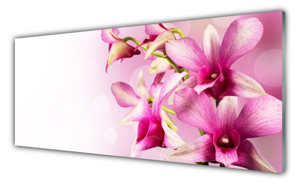Tablou pe sticla Flori roz Floral