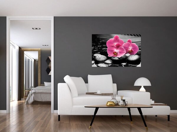 Tablou - Orhidee roz (90x60 cm)