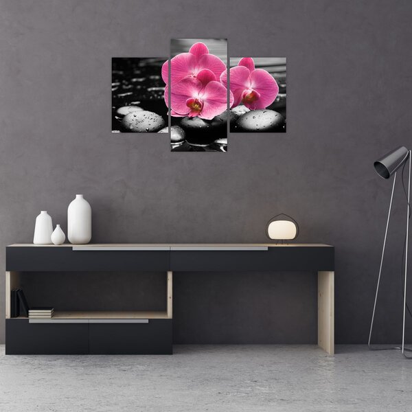 Tablou - Orhidee roz (90x60 cm)