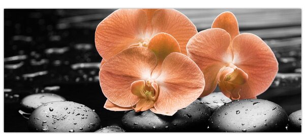 Tablou - Orhidee portocalii (120x50 cm)