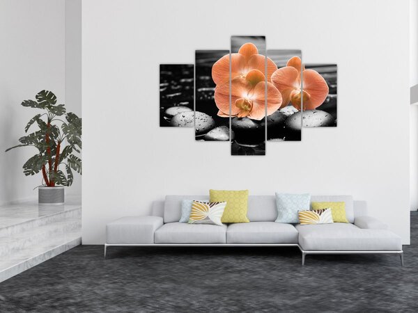 Tablou - Orhidee portocalii (150x105 cm)