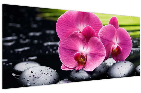 Tablou - Orhidee roz cu frunze de palmier (120x50 cm)