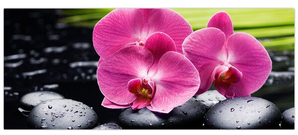 Tablou - Orhidee roz cu frunze de palmier (120x50 cm)