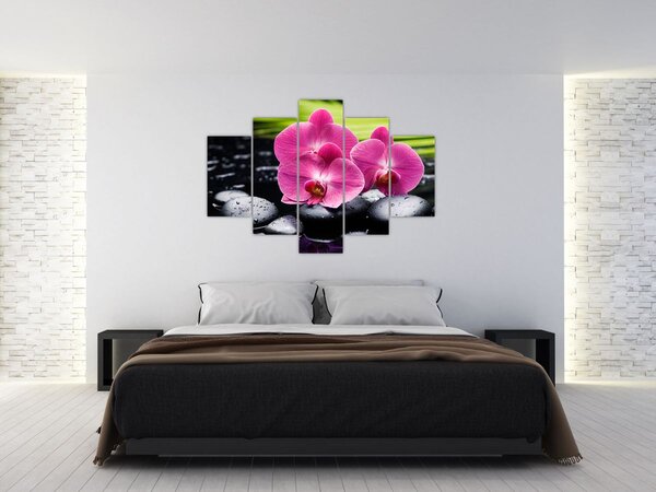 Tablou - Orhidee roz cu frunze de palmier (150x105 cm)