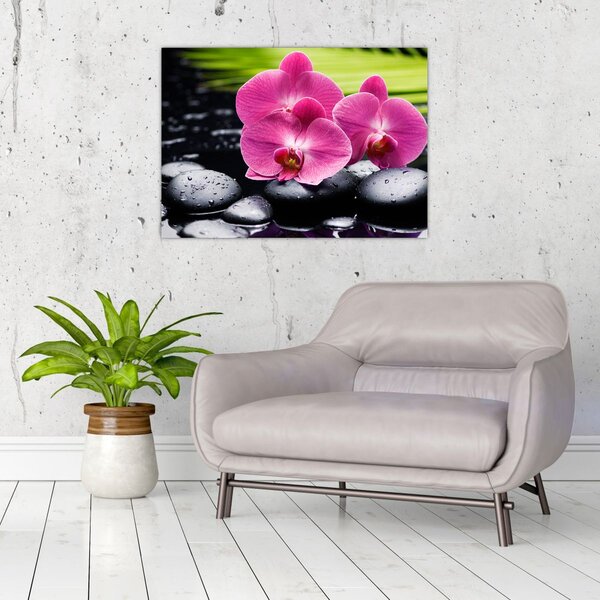 Tablou - Orhidee roz cu frunze de palmier (70x50 cm)
