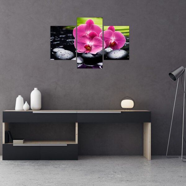 Tablou - Orhidee roz cu frunze de palmier (90x60 cm)