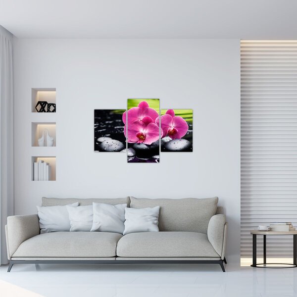 Tablou - Orhidee roz cu frunze de palmier (90x60 cm)