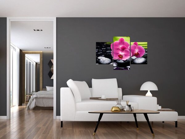Tablou - Orhidee roz cu frunze de palmier (90x60 cm)