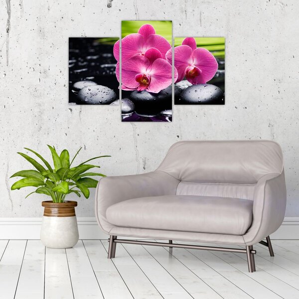 Tablou - Orhidee roz cu frunze de palmier (90x60 cm)
