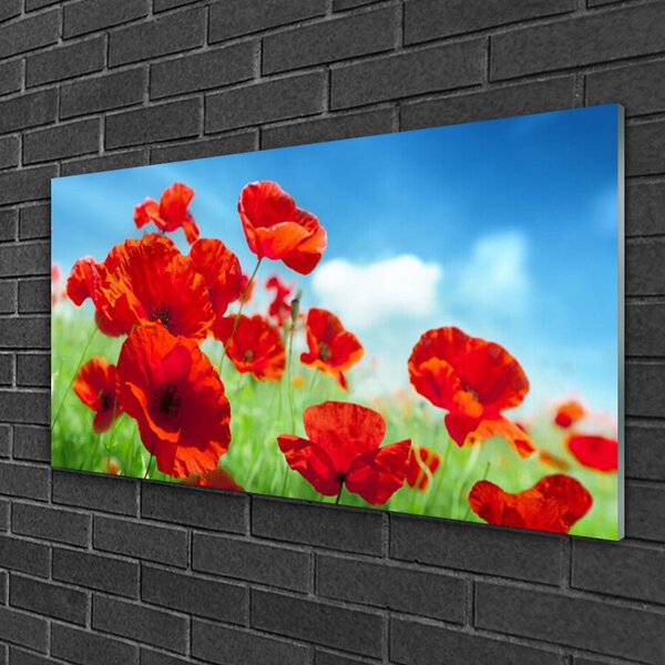 Tablou pe sticla Maci Floral Red