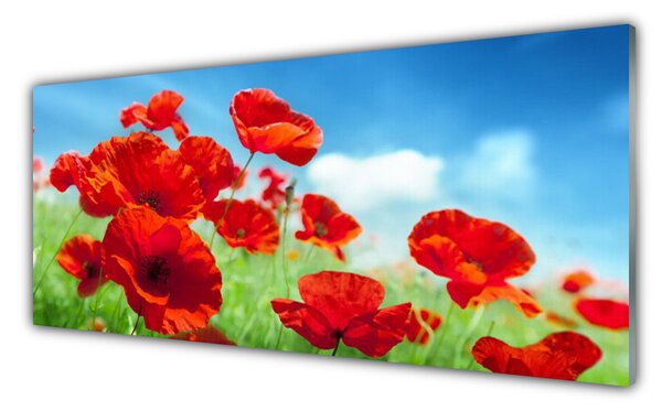 Tablou pe sticla Maci Floral Red