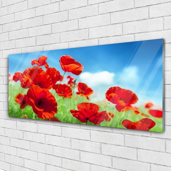 Tablou pe sticla Maci Floral Red
