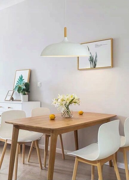 Lampa DE TAVAN ANZO alb