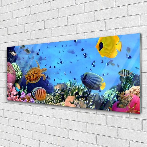 Tablou pe sticla Coral Reef Natura Multi