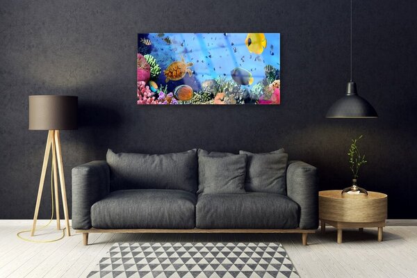 Tablou pe sticla Coral Reef Natura Multi