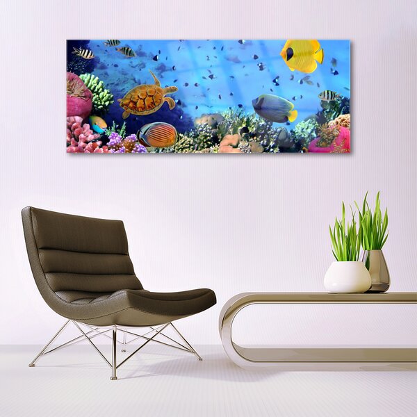 Tablou pe sticla Coral Reef Natura Multi