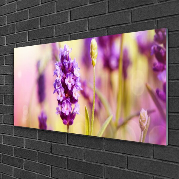 Tablou pe sticla Flori roz Floral