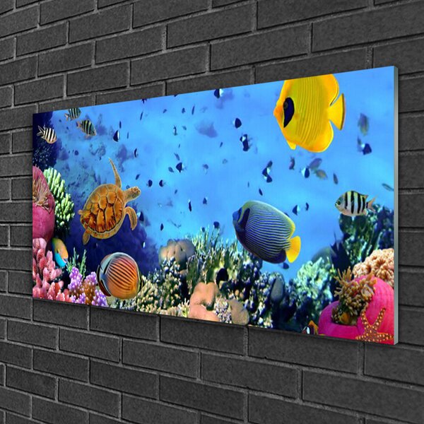 Tablou pe sticla Coral Reef Natura Multi
