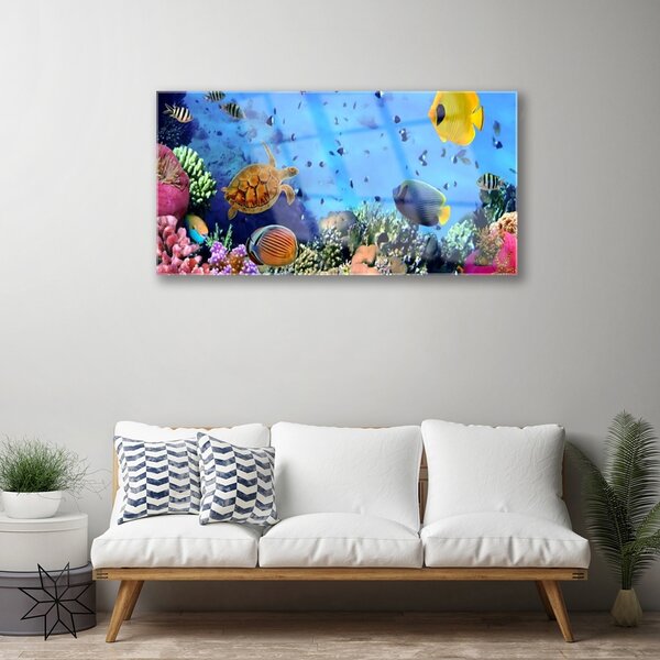 Tablou pe sticla Coral Reef Natura Multi