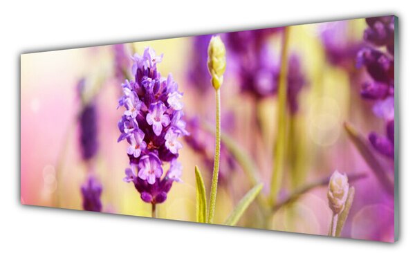 Tablou pe sticla Flori roz Floral