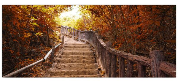 Tablou - Scări în natură în toamnă (120x50 cm)