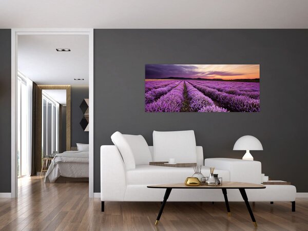 Tablou - Câmp de lavandă la apus de soare (120x50 cm)