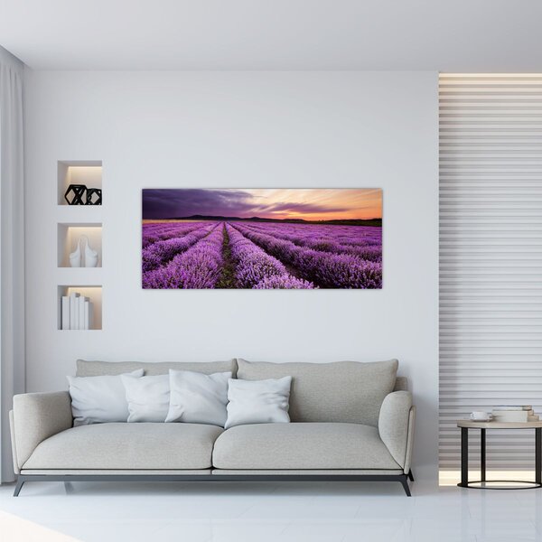 Tablou - Câmp de lavandă la apus de soare (120x50 cm)